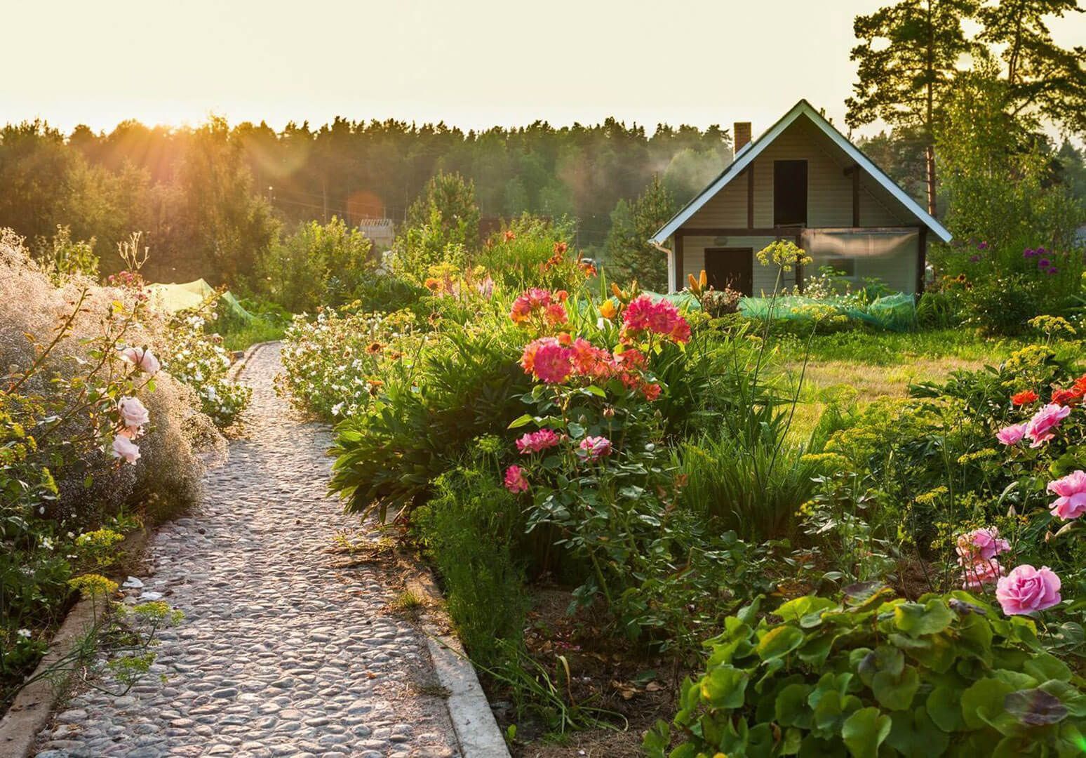 Weg durch einen Garten mit vielen Pflanzen